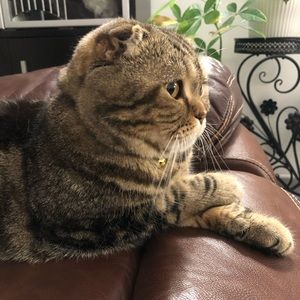 Meet your Posher, Olga